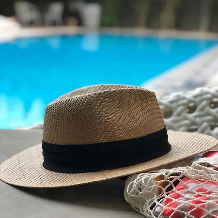 Bellavista With Pool & Lakeview * Plesio